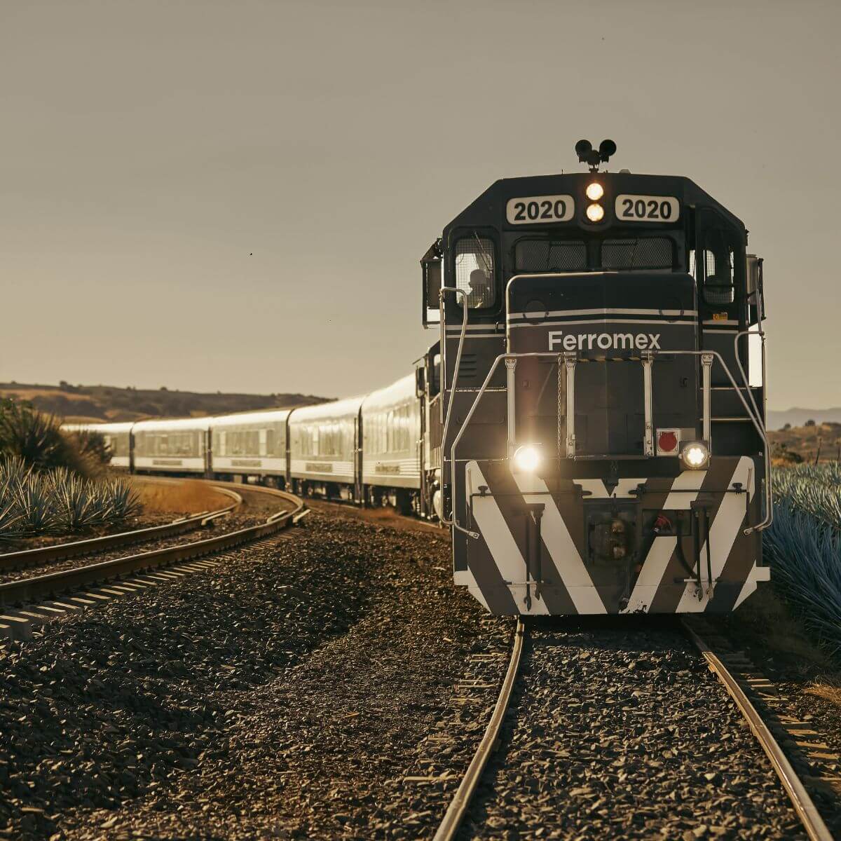 Viaje en tren exclusivamente