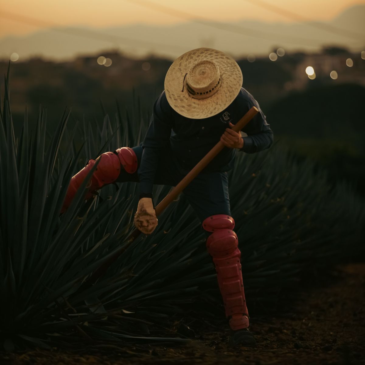 Destilería Casa Sauza